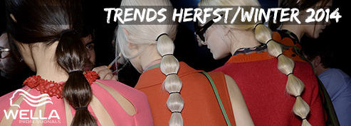trends-winter-2014-wella