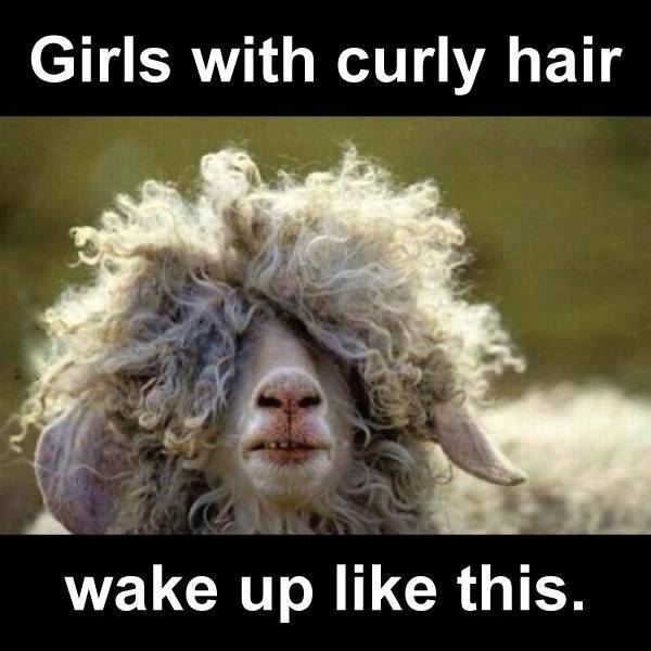 635861721059846515739062494_Girls-with-curly-hair