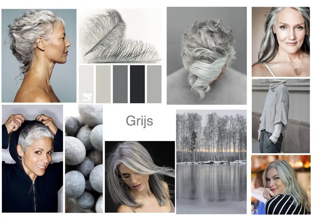 magnifiek Memoriseren Vallen Colourful grey | alles over grijs haar - WieWatHaar